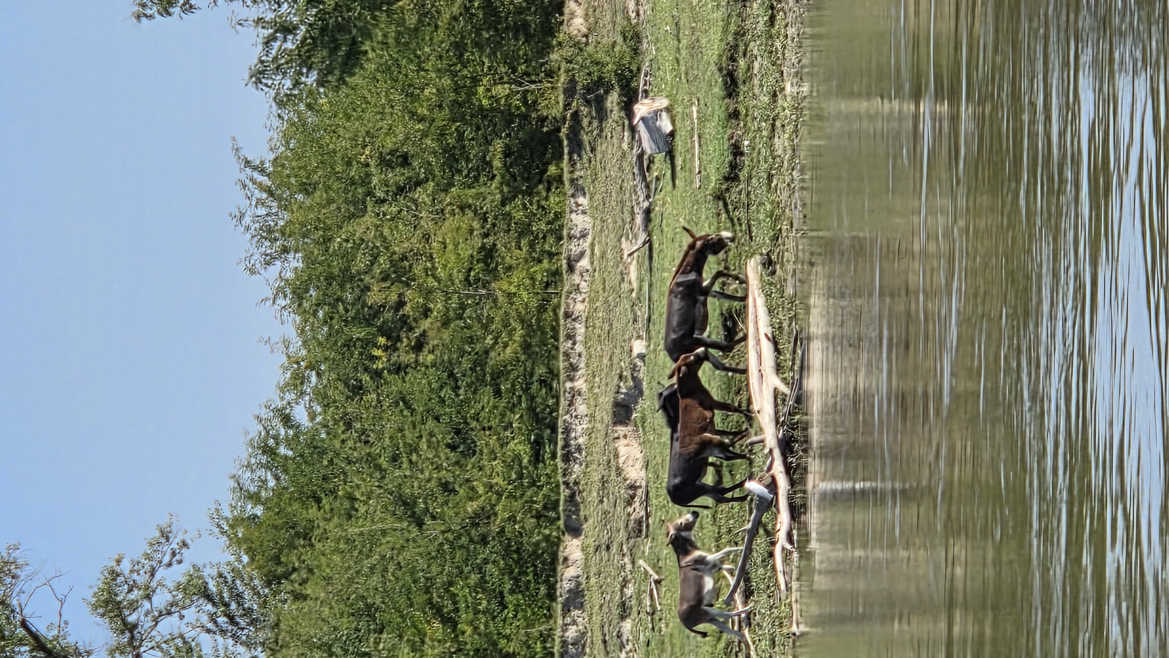 20250810_091049.jpg